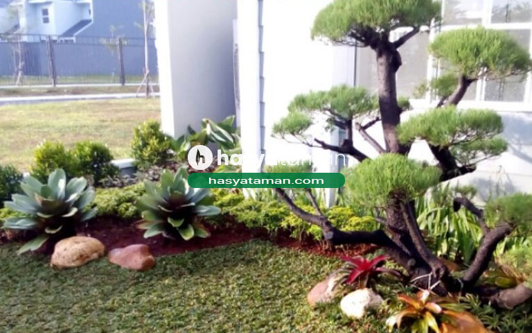 Tukang Taman Karawaci